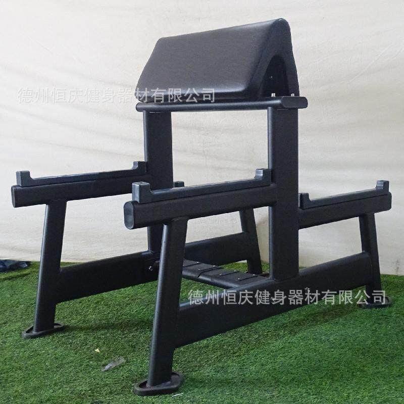 健身房二头肌训练架商用健身器材私教工作室健身牧师椅