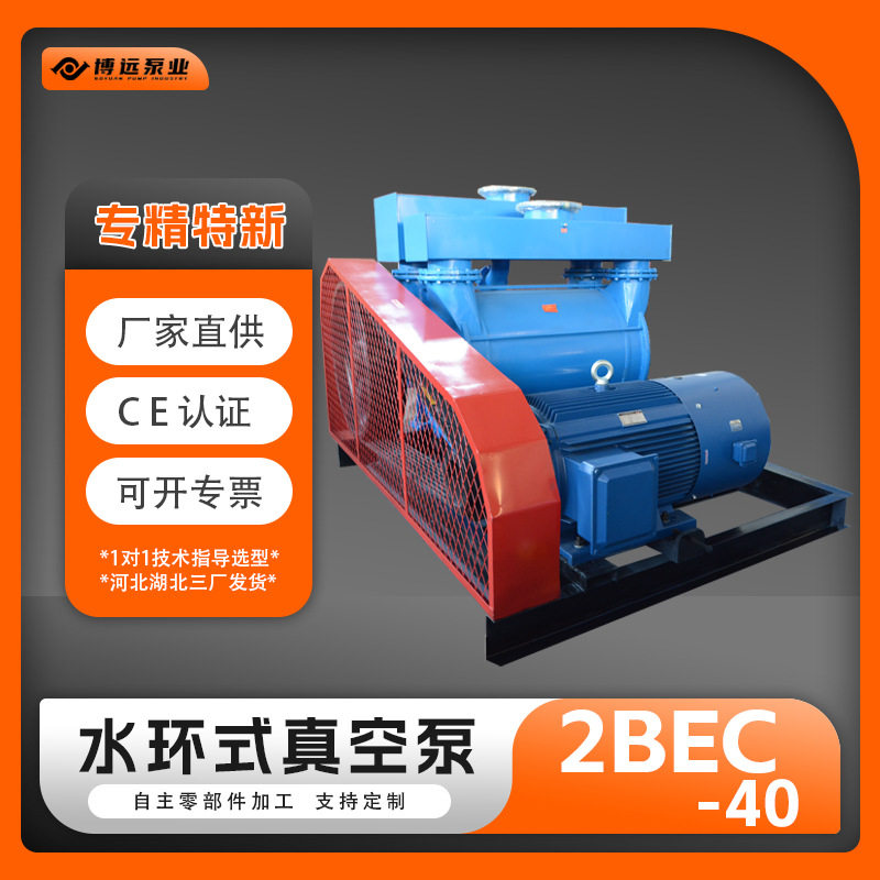 冀真2BEC40水环式真空泵铸铁不锈钢工业用真空单级水环泵博远泵业