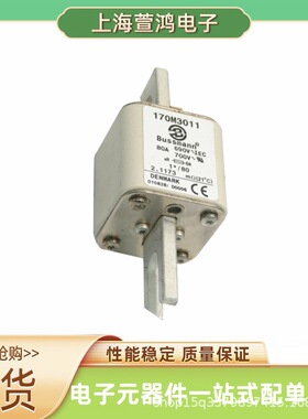 170M6145 170M6146 170M6147 170M6148原厂 陶瓷熔断器底座