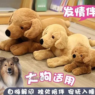 专用小公狗交配玩具狗狗发情期母狗性伴侣宠物小狗泄火发情