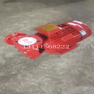 W型直联旋涡泵65WX-50型 高扬程清水泵喷泉给水泵