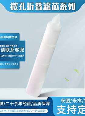 广东直供10寸20寸30寸聚丙烯PP膜折叠滤芯微孔折叠滤芯