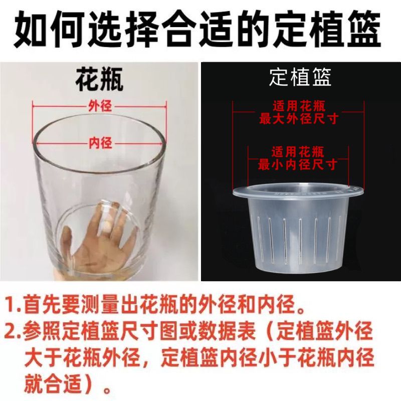 水培土培植物定植篮玻璃花瓶固定器花篮圆形栽培绿萝富贵竹固根器