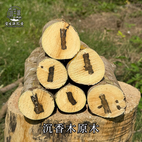 宜生源沉香原木原料天然