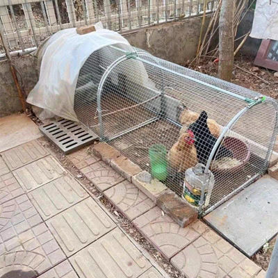 走地鸡笼养鸡隧道跑笼农场庭院户外鸡笼可折叠折叠式溜达养殖笼