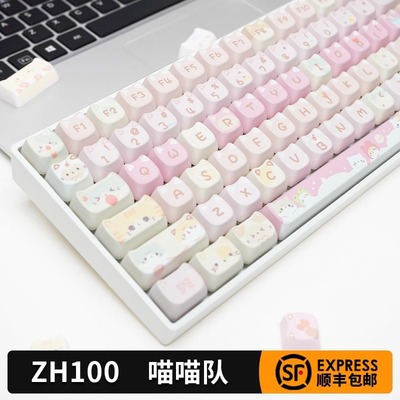 佐赫ZH100猫猫机械键盘有线USB无线客制化女生办公麻将音静音键盘