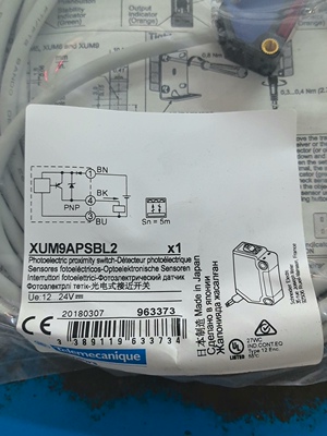 原装施耐德关电开关XUM9APSBL2  20套议价
