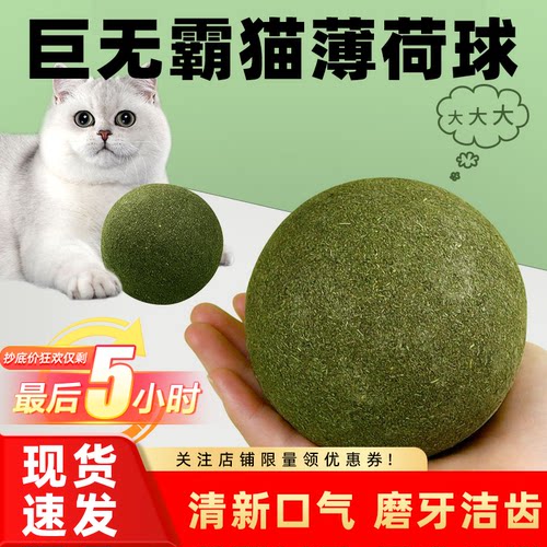 猫玩具超大猫薄荷球自嗨解闷神器宠物用品大全磨牙洁齿宠物玩具