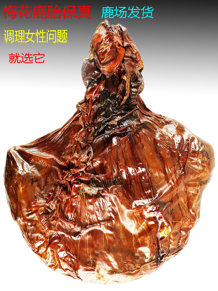 Jilin Sika Deer Dried Deer Fetal Whole Powder Deer Placenta Deer Female Pregnancy Pregnancy Treatment Multiple Case