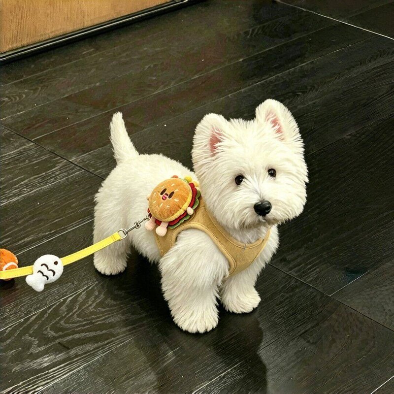 卡通玩偶猫咪汉堡胸背牵引绳可伸缩宠物狗狗外出防挣脱遛猫绳