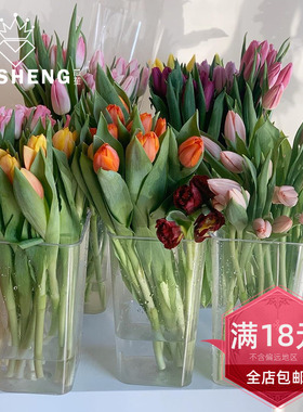 韩式高透明花桶PC耐摔花瓶花店用品专业醒花养花材料家居插花装饰