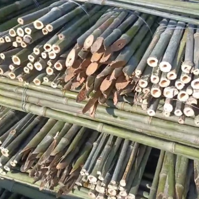实心竹竹竿菜园搭架用竹子