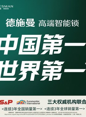 德施曼智能门人脸猫眼大屏w智能锁密码锁指纹锁大圣Q5FPro
