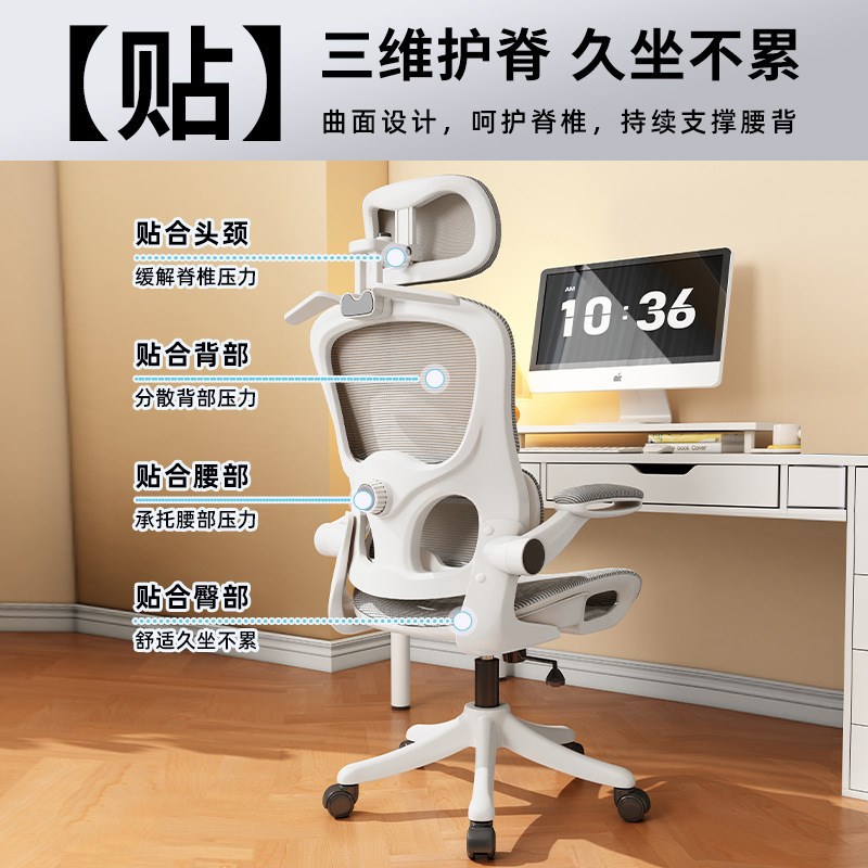 人体工学椅护腰电脑椅舒适久坐家用办公椅职员T会议办公室座椅