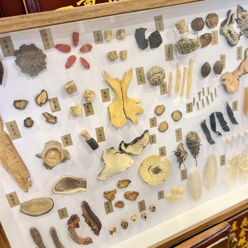 创意新款中药f标本合集木框中医文创展示定制纯手工装饰画画框