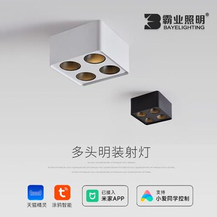 明装斗胆灯智能调光客厅灯餐厅灯吸顶无主灯四头led防眩筒灯射灯