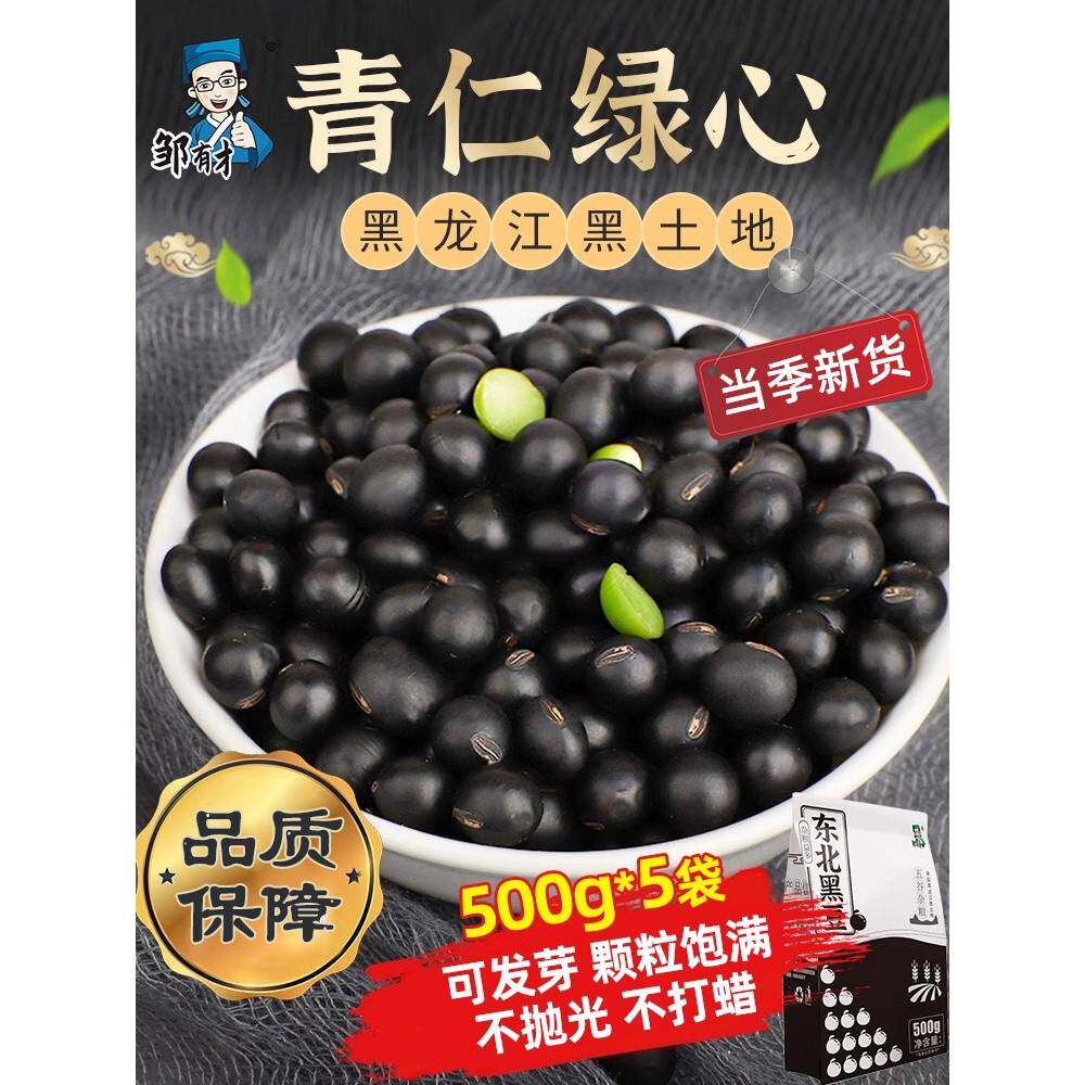 东北青仁绿心黑豆新货500g*5袋农家自产自种五谷杂粮小豆子醋泡芯