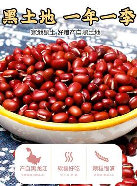 永祥龙024年新红豆东北产红小豆出沙新货农家NQB自五谷杂易粮2赤