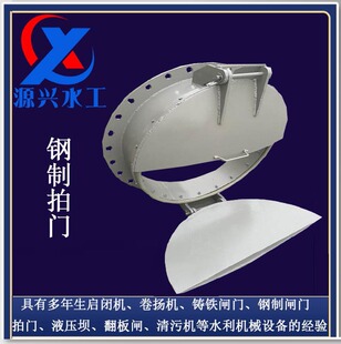 节型侧开式拍门 能型灌排防洪阀 浮箱拍门 方形拍门 铸铁拍门