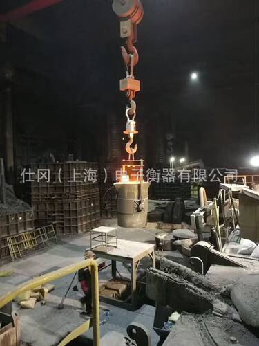 葫芦岛造船厂高温防磁电子吊秤