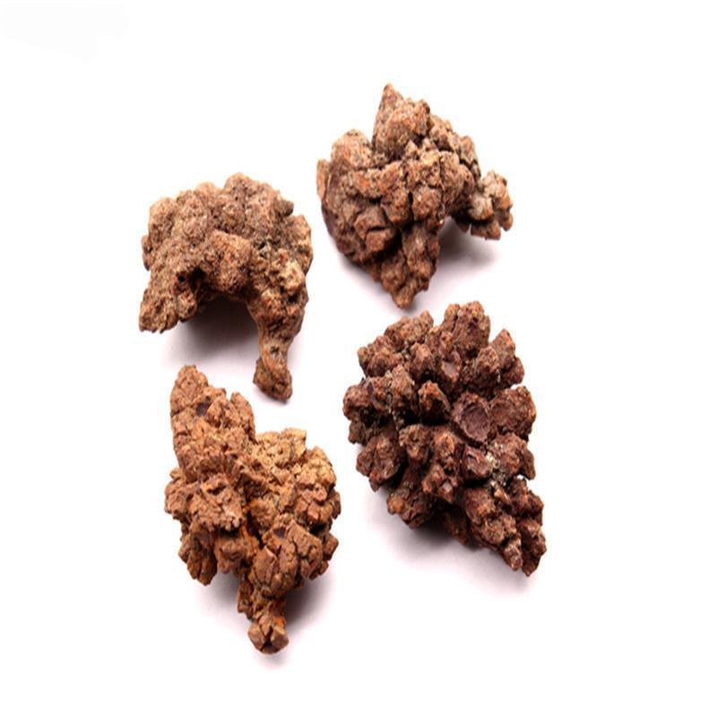 天然生化石恐龙便便生水晶石粗糙化石