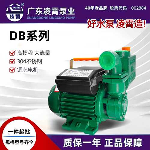 广东凌霄1ZDB自吸抽水增压泵小型家用自来水清水循环泵井水抽水泵