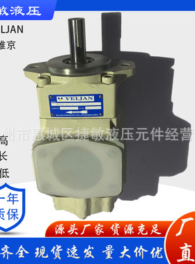 维京叶片泵 T6GCC-B20-B06-6R02-A111 VELJAN油泵