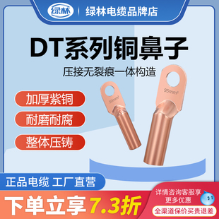 绿林DT紫铜鼻子铜线耳接线端子10/16/35/50/70平方电线堵油铜接头