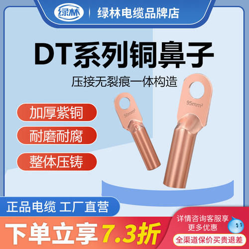 绿林DT紫铜鼻子铜线耳接线端子10/16/35/50/70平方电线堵油铜接头
