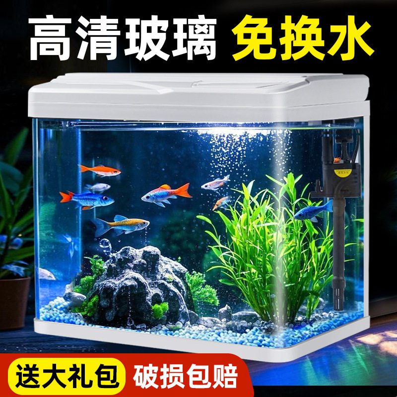 鱼缸客厅2025新款小鱼缸小型玻璃生态金鱼桌面家用懒人水族箱
