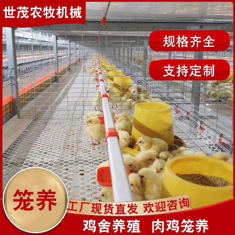 笼养链式料线养鸡场蛋鸡笼养殖阶梯式笼镀锌防锈鸡笼子世茂