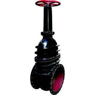 Z41T 明杆铸铁闸阀 16铜杆铜芯铸铁闸阀 铸铁闸阀 排污闸阀