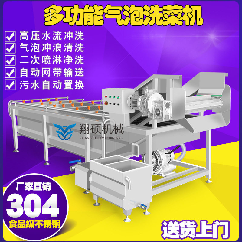 现货多功能果蔬蔬菜清洗机 气泡式喷淋豆角清洗机 自动洗 菜设备
