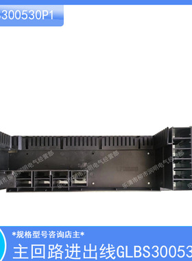 一代低压开关柜MNS单元三极旁出线抽屉后板GLBS300530P1及后出线