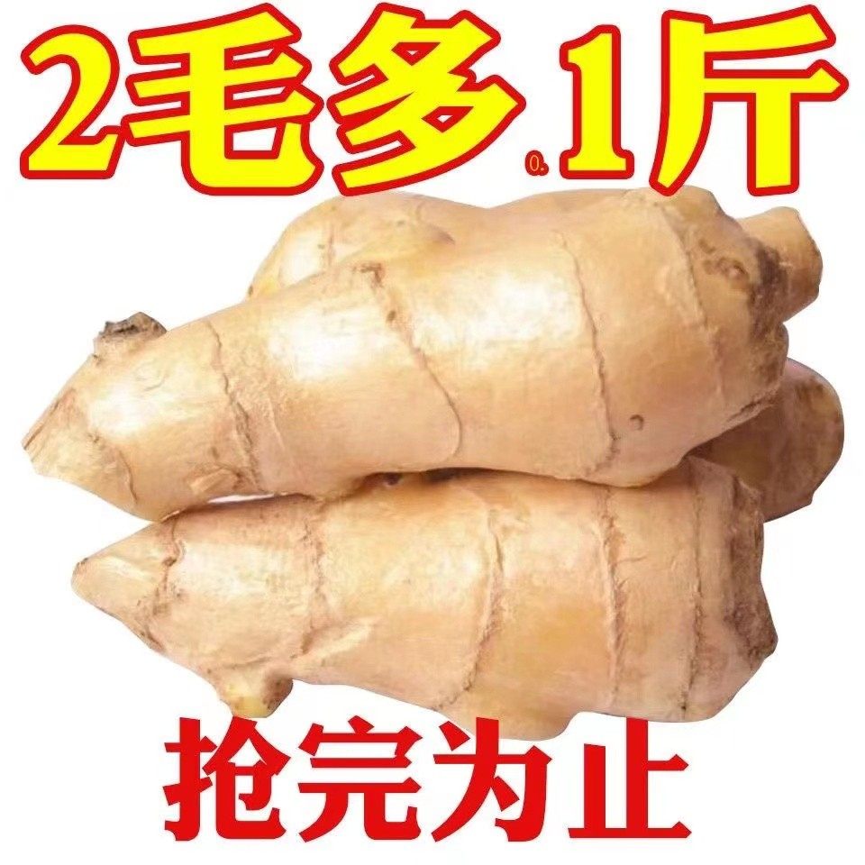 新鲜老姜正宗生姜5/9斤现挖云南高山小黄姜月子农家整箱包邮蔬菜