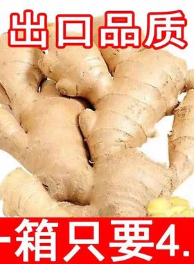 新鲜老姜正宗生姜5/9斤现挖云南高山小黄姜月子农家整箱包邮蔬菜