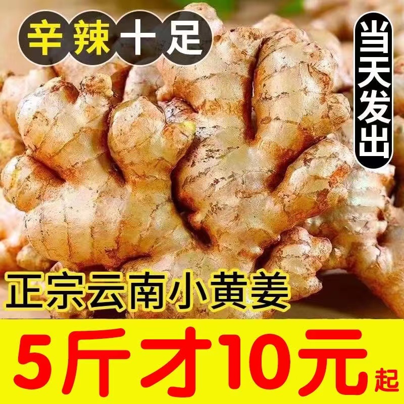 新鲜老姜正宗生姜5/9斤现挖云南高山小黄姜月子农家整箱包邮蔬菜