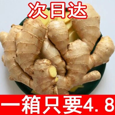 新鲜老姜正宗生姜5/9斤现挖云南高山小黄姜月子农家整箱包邮蔬菜