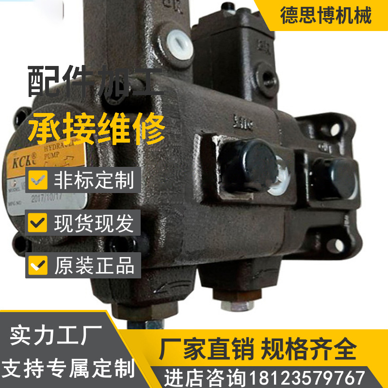 台湾凯嘉KCLSVQ215-22-6/8/11-F-RAAA-02 平板硫化机液压泵小型