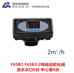F65B1 F65B3 润新2吨自动软化阀可带旁通 进出水口6分 中心管6分