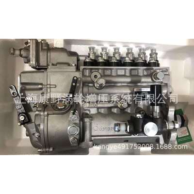 喷油泵2207MJ800-1111100-C272287和T9000-1111100-C272203