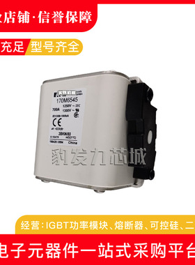 170M6588 170M6589 170M6590 170M6591 170M6592全新熔断器现货