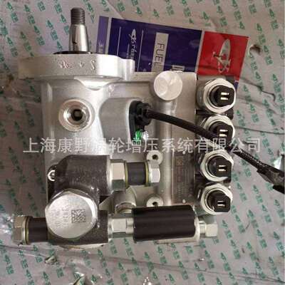 原装喷油泵240900210172B4HD1257和B4HD1258和0445025118
