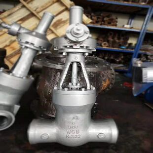Z61Y高温高压电站闸阀 珞钼钢 耐磨 对焊 波纹管 欣弘阀门