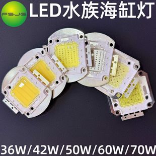 36W42W60W50W70W集成光源 水草LED海水龙鱼珊瑚灯高功率 鱼缸水族