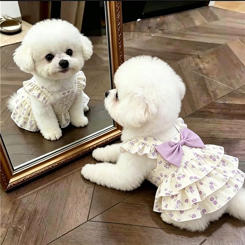 狗狗夏季薄款蝴蝶结飞袖蛋糕蓬蓬裙小型犬比熊泰迪博美公主裙