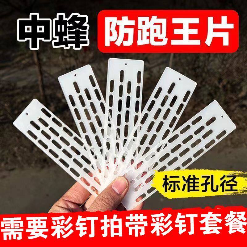 防逃片中蜂防跑王片养蜂工具蜂箱蜂王防跑片防盗蜂隔王片塑料包邮