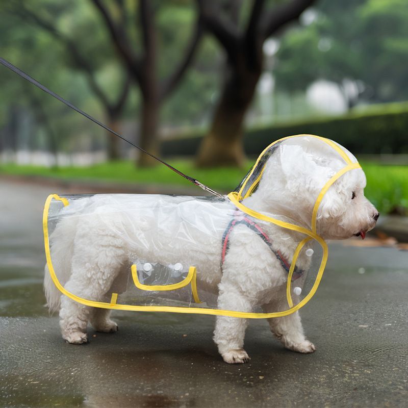 泰迪金毛中型小型犬雨衣新款宠物防水雨披全身透明大狗衣服