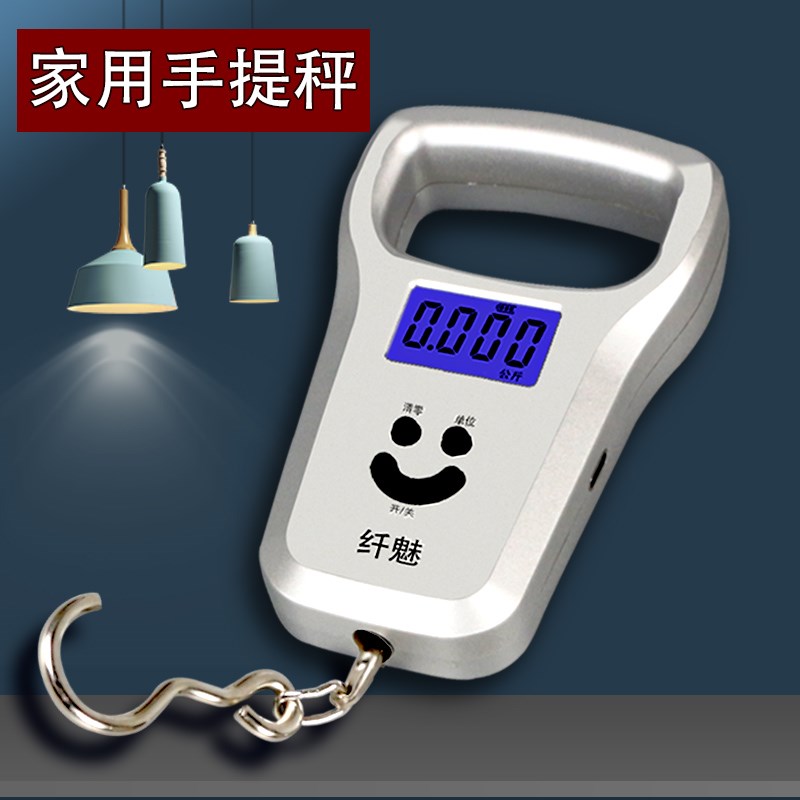 type-c充g电口手提电子秤便携式小型精准弹簧便携称快递称买菜防