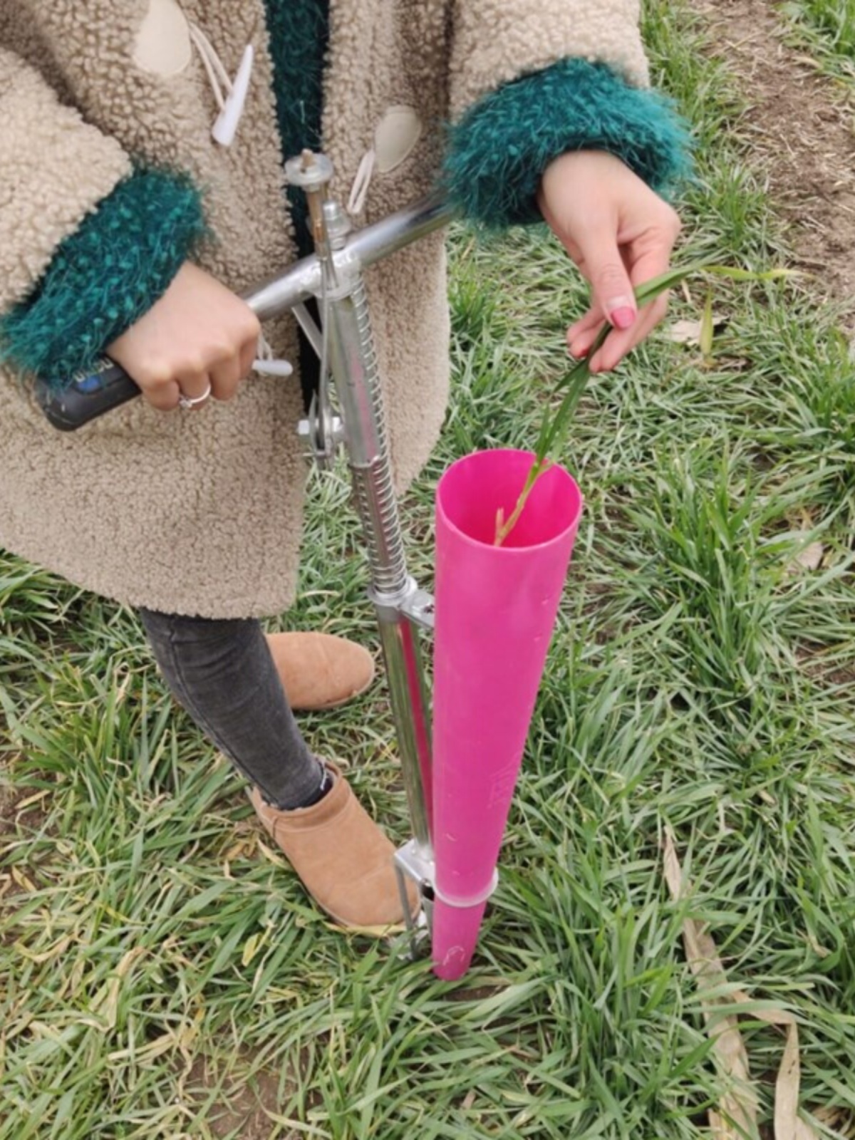 定制栽苗器移辣椒栽定植种苗栽秧神器栽苗机栽神器农业耕种机械新